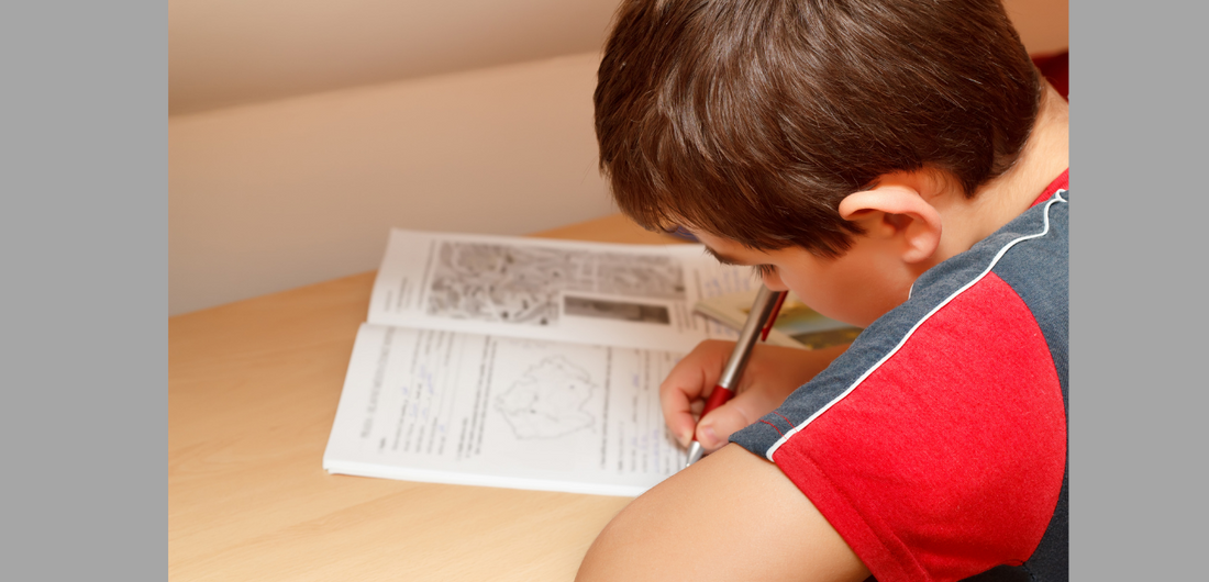 4 Tips to Get Your Hockey Player to Do Their Homework